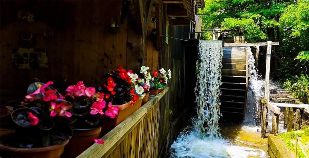 Вилла Casa Morii Ohaba Экстерьер фото