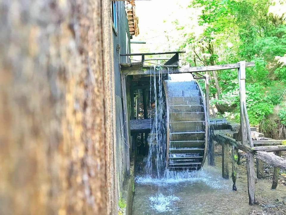 Вилла Casa Morii Ohaba Экстерьер фото