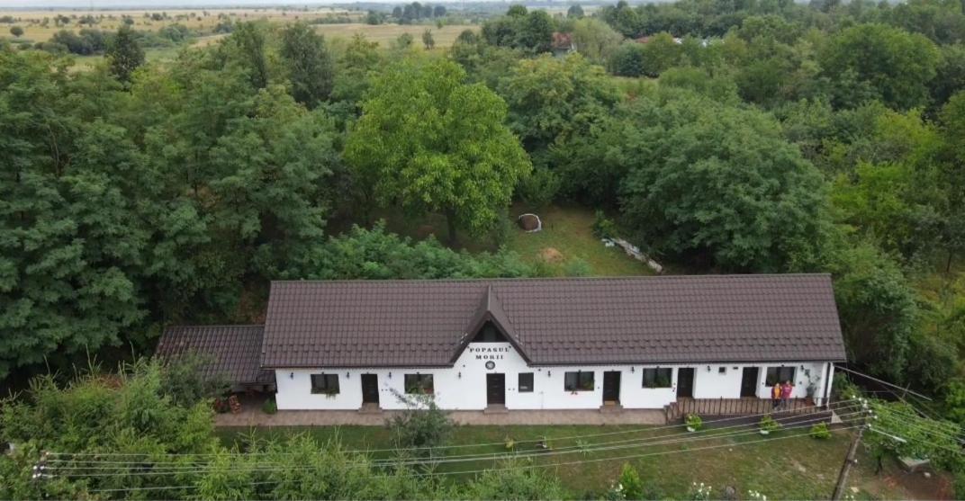 Вилла Casa Morii Ohaba Экстерьер фото