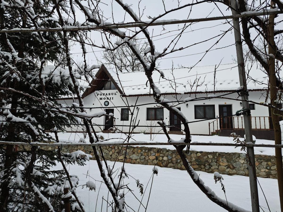 Вилла Casa Morii Ohaba Экстерьер фото
