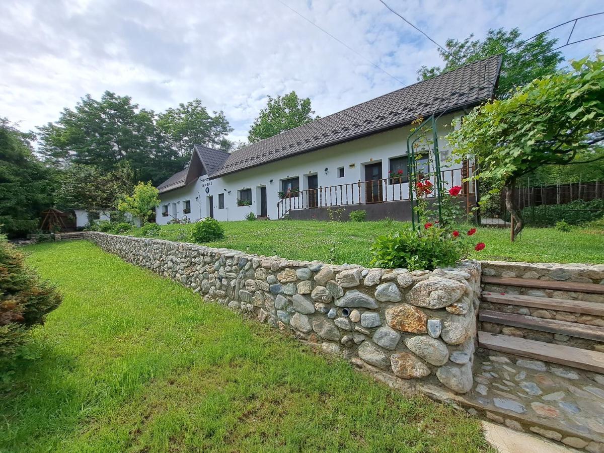 Вилла Casa Morii Ohaba Экстерьер фото
